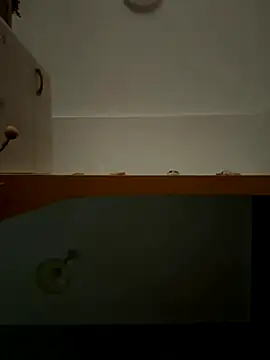 Lecatore80 online show from 11.09.25