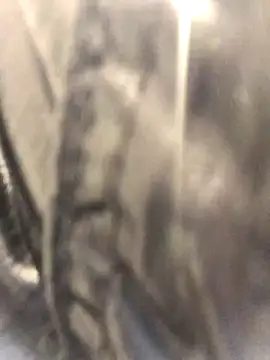 Snapshot of Diamond_Bunny_ chatting on 09.24.25 Diamond Bunny online show from 09.24.25