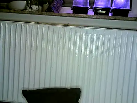 yola181 online show from 02.13.25