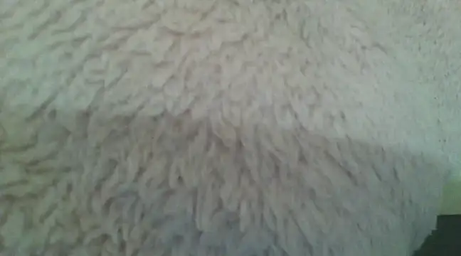 samanta0033 online show from 12.02.24