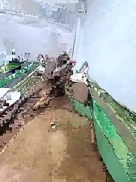 Pathirajasenerath online show from 10.23.25