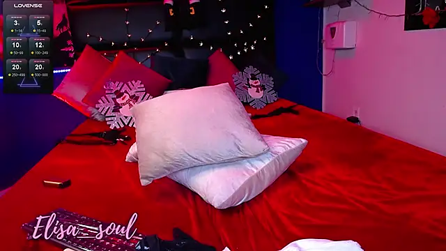 Elisa Soul online show from 12.28.24