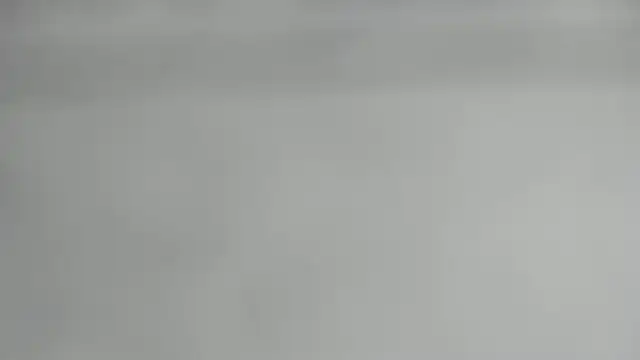 elis gabbi online show from 10.29.25