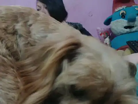 Cheliafun online show from 10.25.25