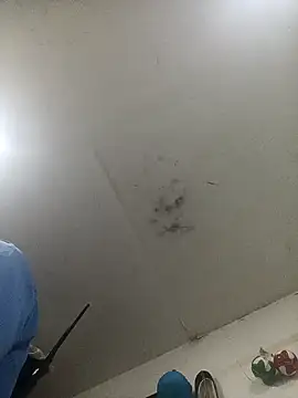 Snapshot of jeremiabello chatting on 02.14.25 jeremiabello online show from 02.14.25