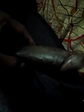 Snapshot of Antor1234 chatting on 01.22.25 Antor1234 online show from 01.22.25