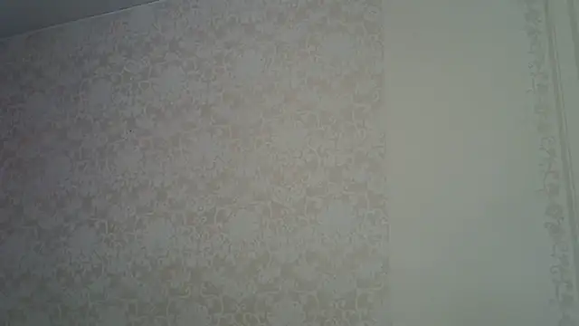 Snapshot of Pabonya91 chatting on 02.14.25 Pabonya91 online show from 02.14.25