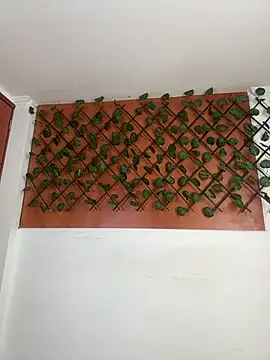 Snapshot of Emily_Trujillo chatting on 11.08.25 Emily Trujillo online show from 11.08.25