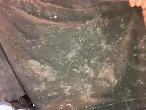 barenlund456 online show from 04.19.26