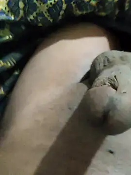 pusssyhub online show from 11.24.25