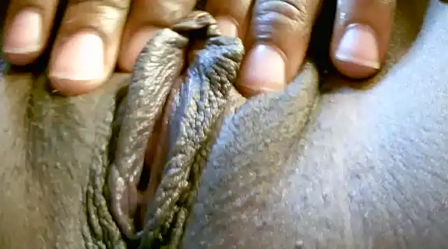 MTLD7 online show from 12.25.24