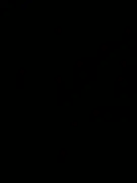 Snapshot of Jan_berger chatting on 12.31.24 Jan berger online show from 12.31.24