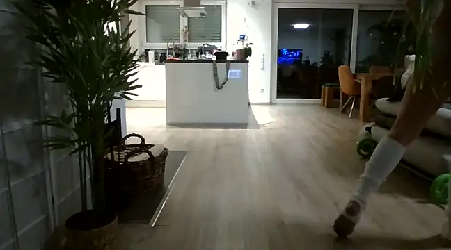 Snapshot of SportyspiceDanny chatting on 12.22.24 SportyspiceDanny online show from 12.22.24