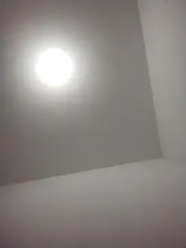 barboza991 online show from 12.28.24