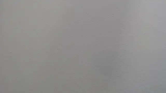 Dyla n18 online show from 01.04.25