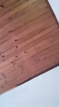 Snapshot of DANIELA_MICHEL chatting on 01.19.25 DANIELA MICHEL online show from 01.19.25