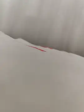 SertSikici022 online show from 09.11.25