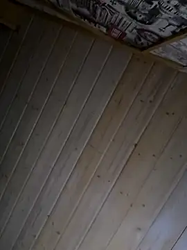 Snapshot of JillC chatting on 02.26.25 JillC online show from 02.26.25