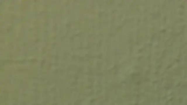 Snapshot of xLyibitsa chatting on 01.28.25 xLyibitsa online show from 01.28.25