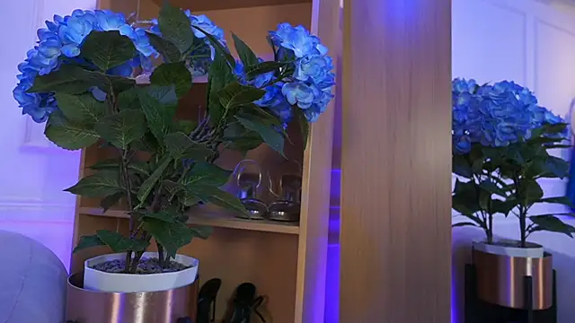 elasummer online show from 02.04.26