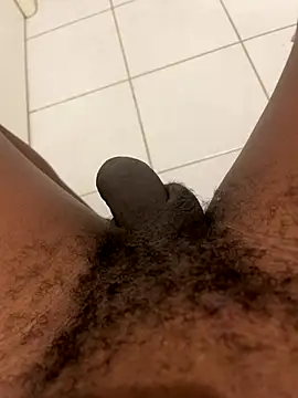 arrete2025 online show from 11.12.25