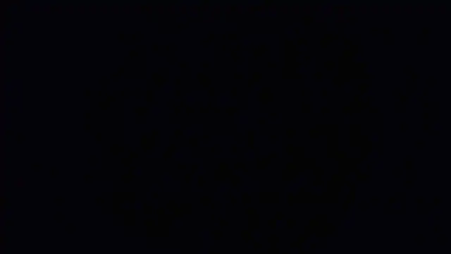 Snapshot of Raiye chatting on 01.24.25 Raiye online show from 01.24.25