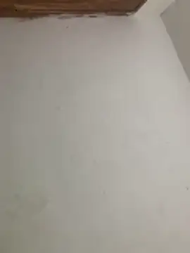 Snapshot of menorbnx chatting on 11.09.25 menorbnx online show from 11.09.25