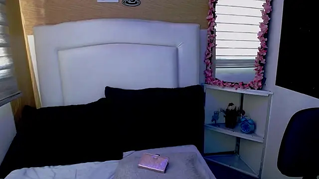 Snapshot of palmer_mIix chatting on 12.05.24 palmer mIix online show from 12.05.24