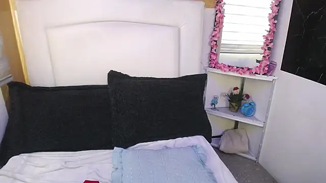 Snapshot of palmer_mIix chatting on 12.30.24 palmer mIix online show from 12.30.24