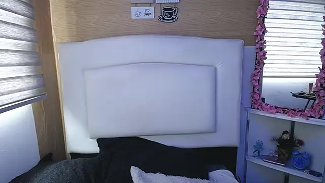 Snapshot of palmer_mIix chatting on 03.06.25 palmer mIix online show from 03.06.25