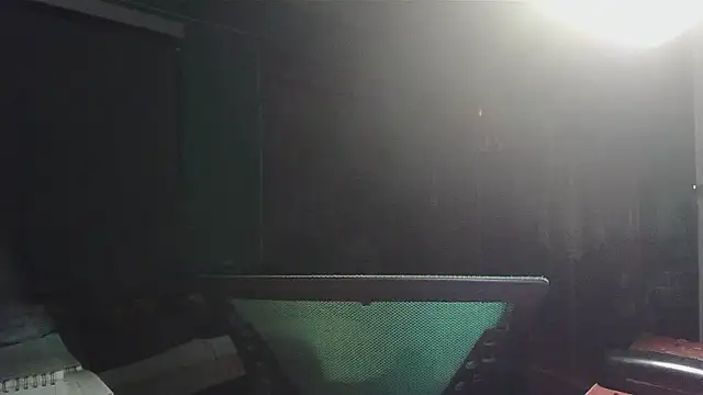 Snapshot of _______the chatting on 02.12.26 the online show from 02.12.26