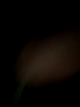 satrr xxx online show from 09.29.25