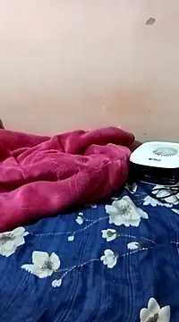 Snapshot of maftel chatting on 12.27.24 maftel online show from 12.27.24