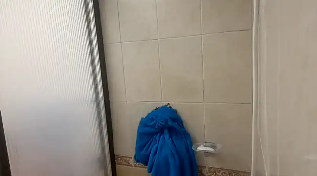 Snapshot of dragon1006 chatting on 01.06.25 dragon1006 online show from 01.06.25