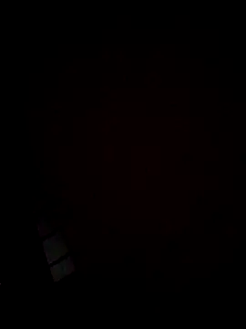 sana14 online show from 10.21.25