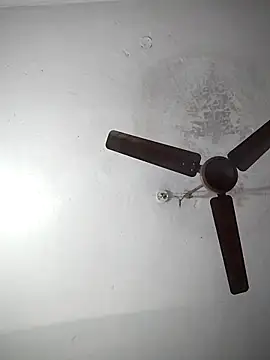 sana14 online show from 12.19.25