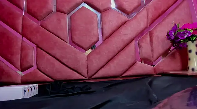 Snapshot of Im_Mathias chatting on 01.24.25 Im Mathias online show from 01.24.25