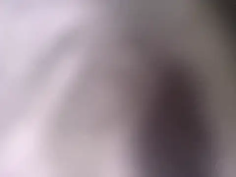 Snapshot of pantomax chatting on 09.20.25 pantomax online show from 09.20.25