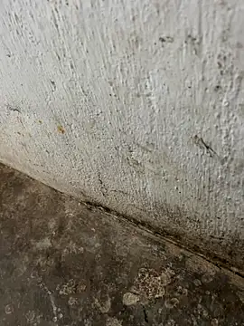 tamil000000 online show from 11.03.25