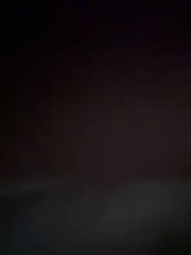  linarose online show from 12.19.24