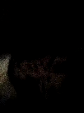 ruhi2003 online show from 12.03.24