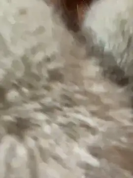 babydolll online show from 01.10.25