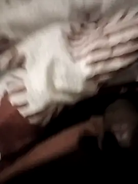 Lexwelll online show from 01.08.26