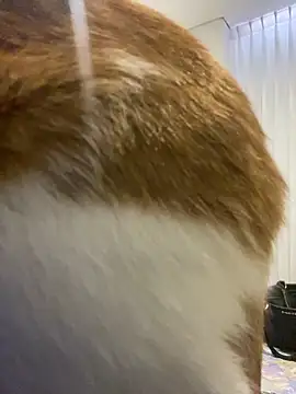 Snapshot of girl_anni chatting on 11.11.25 girl anni online show from 11.11.25