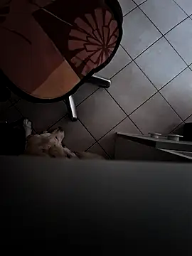 HardWolf2024 online show from 12.09.24