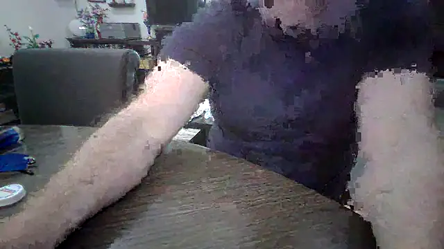 LARawAlways2 online show from 02.26.26