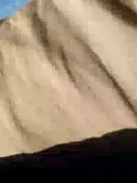 Snapshot of CptDickX258 chatting on 01.12.25 CptDickX258 online show from 01.12.25