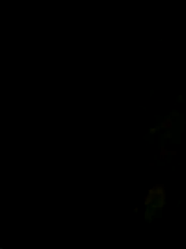 ken tanaka online show from 09.12.25