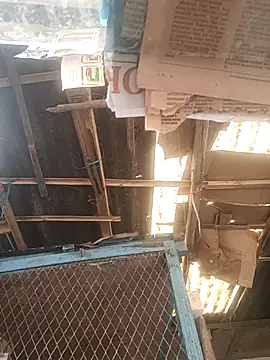 Skinny Bigass 23 online show from 12.01.25