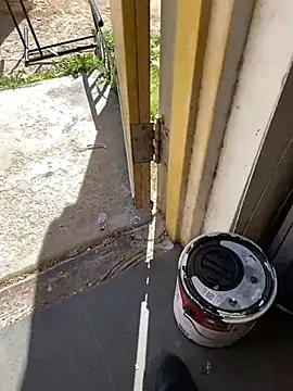 Snapshot of jr91esl chatting on 03.02.25 jr91esl online show from 03.02.25